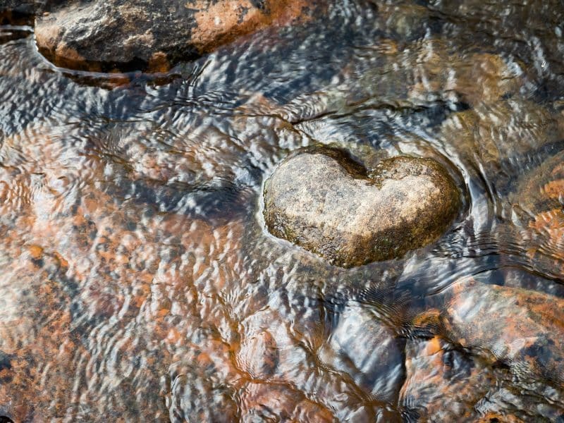 En hjärtformad sten vid ytan i fjällbäck