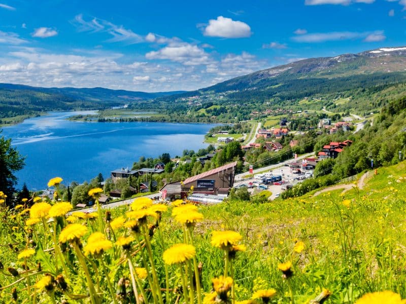 View down towards Åre village and Åresjön on a sunny summer day. In the foreground yellow dandelions. in the background blue sky with white cumulus clouds.